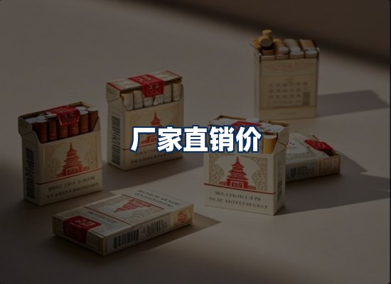 专业团队办公环境
